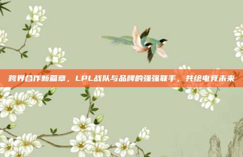 跨界合作新篇章，LPL战队与品牌的强强联手，共绘电竞未来