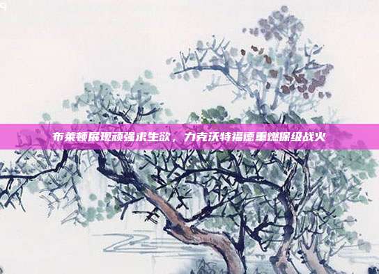 布莱顿展现顽强求生欲，力克沃特福德重燃保级战火