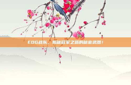 EDG战队，揭秘冠军之路的秘密武器！