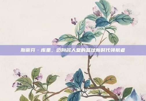 斯蒂芬·库里，迈向名人堂的篮球新时代领航者