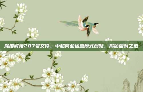 深度解析287号文件，中超商业运营模式创新，揭秘盈利之道