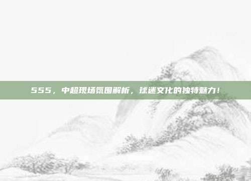 555，中超现场氛围解析，球迷文化的独特魅力！